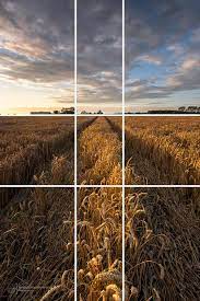 Vlakverdeling gebruikent bij compositie