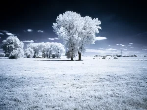 Valse kleuren infrarood landschap