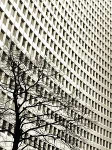 Je kunt deze compositietool gebruiken in stads straat landschaps en abstracte fotografie 