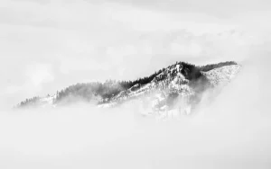 Toon en contrast zijn erg krachtig in zwart-witfotografie. 